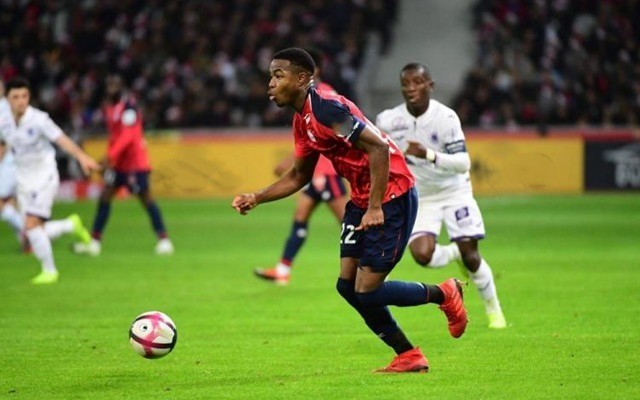 际乒乓球赛 际乒乓球赛