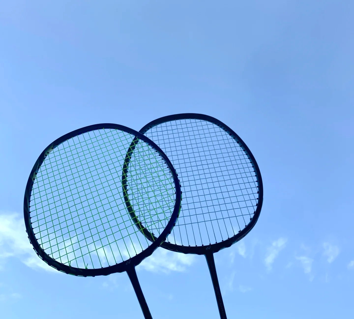 韧不拔的意 韧不拔的意